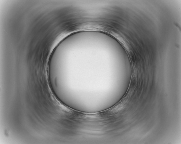 X0000098101486200804181411