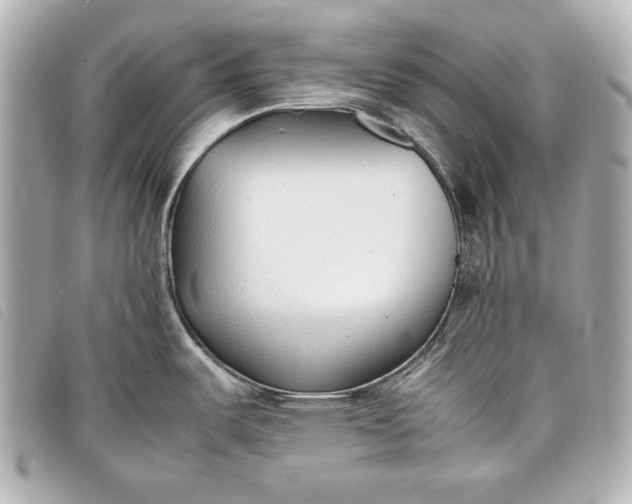 X0000098101487200804181411