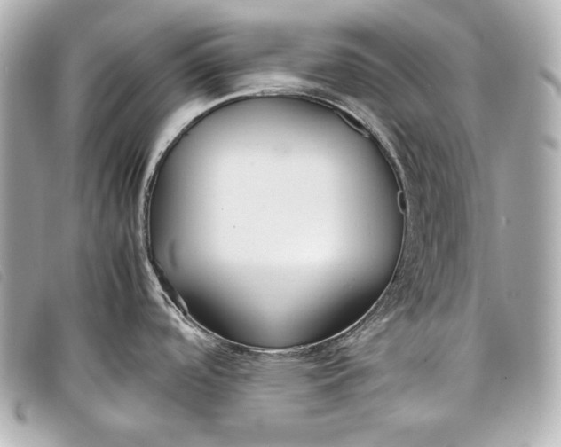 X0000098101488200804181411
