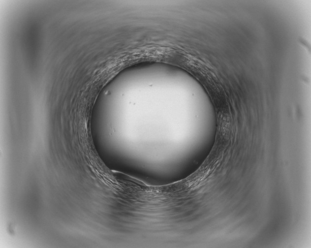 X0000098101489200804181410