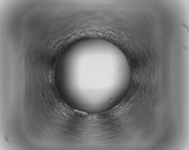 X0000098101490200804181410