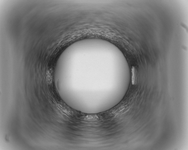 X0000098101491200804181410