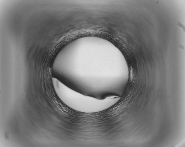 X0000098101492200804181410