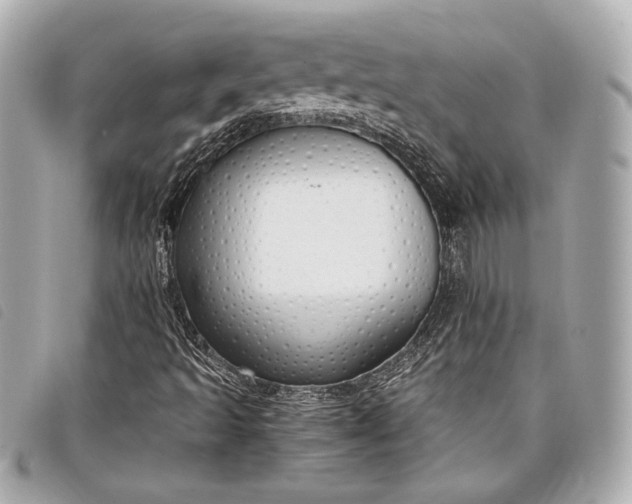 X0000098101493200804181410