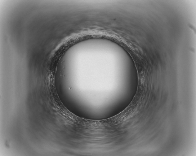 X0000098101495200804181410