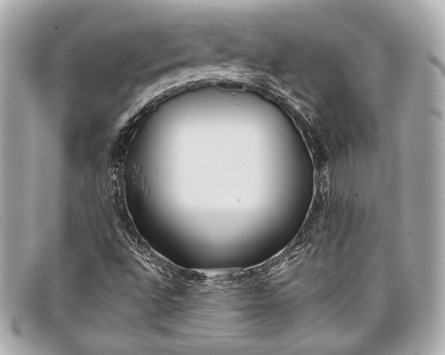 X0000098101496200804181410
