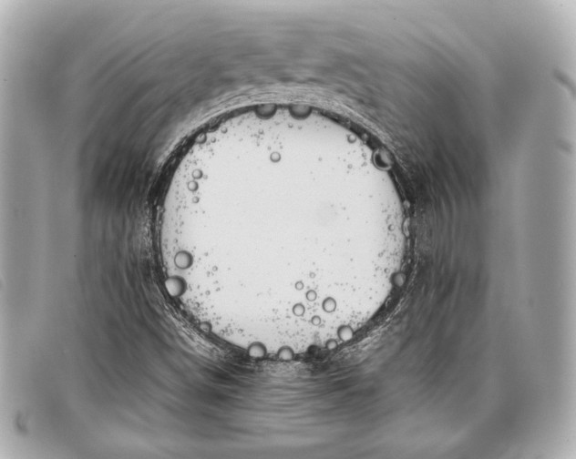 X0000098101498200804181410