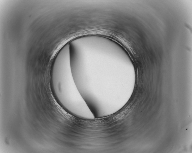 X0000098101500200804181410
