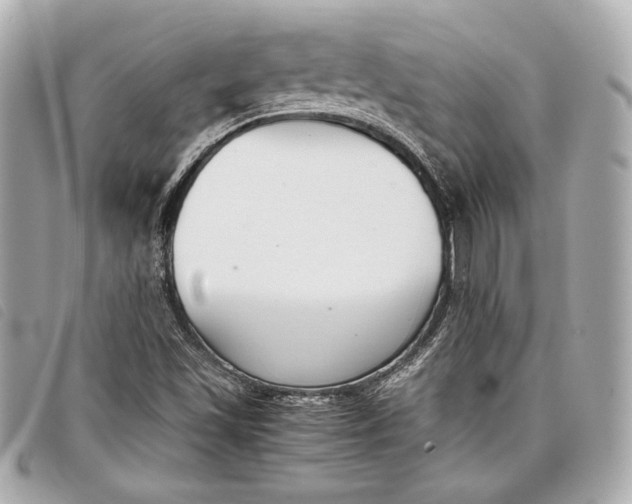 X0000098101501200804181410