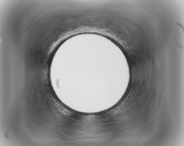 X0000098101502200804181410