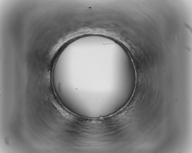 X0000098101503200804181410