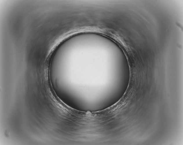 X0000098101504200804181410
