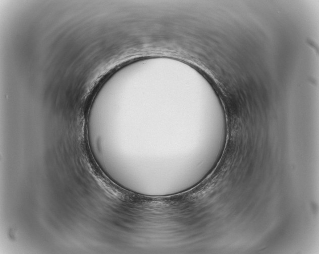 X0000098101507200804181410