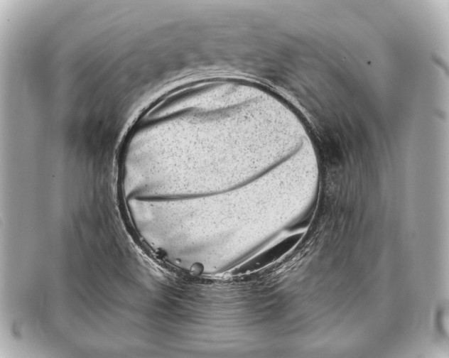 X0000098101508200804181410