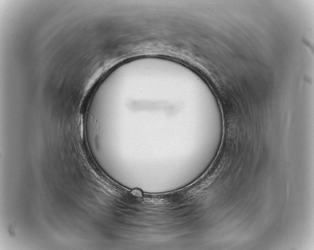X0000098101509200804181410