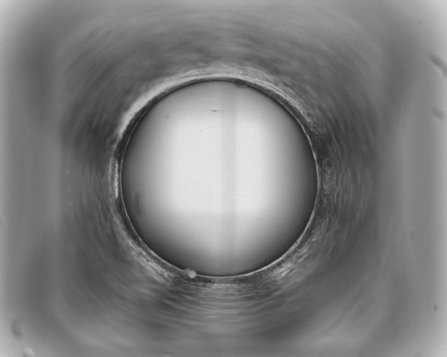 X0000098101510200804181410