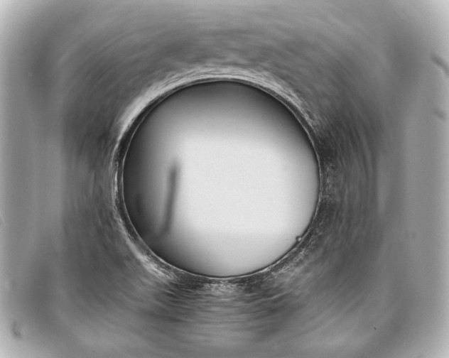 X0000098101511200804181410