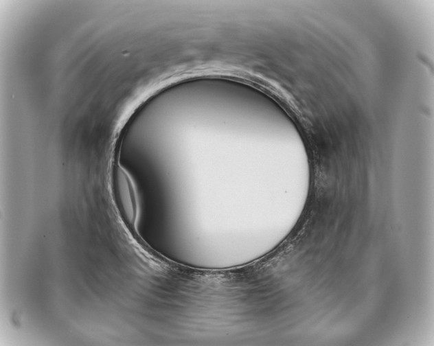 X0000098101512200804181411