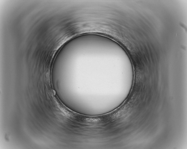 X0000098101513200804181411