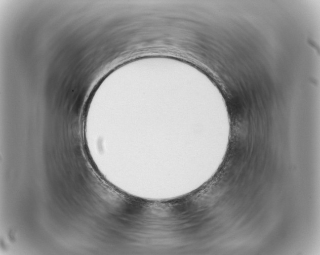 X0000098101514200804181411