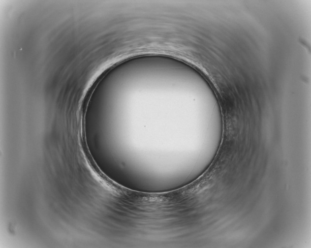X0000098101515200804181411