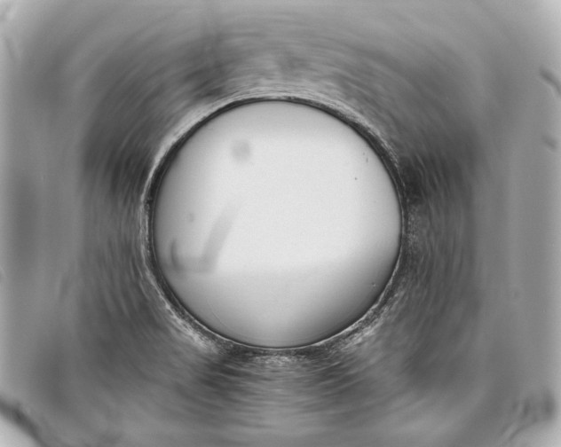 X0000098101517200804181411