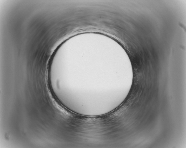 X0000098101518200804181411