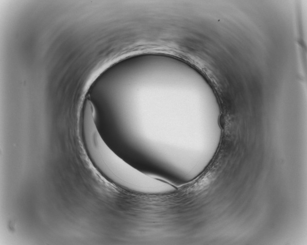 X0000098101520200804181411