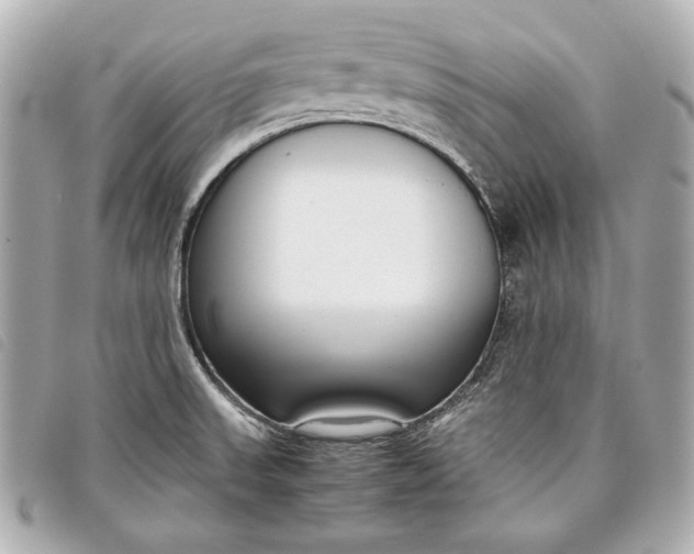 X0000098101523200804181411