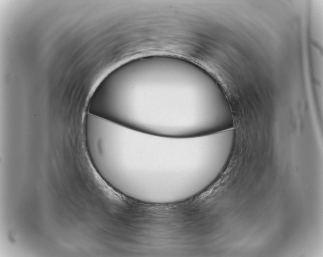 X0000098101524200804181411