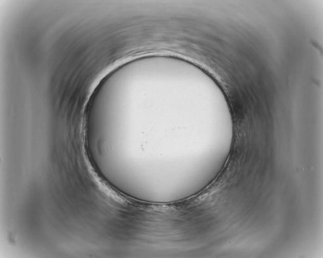X0000098101526200804181411