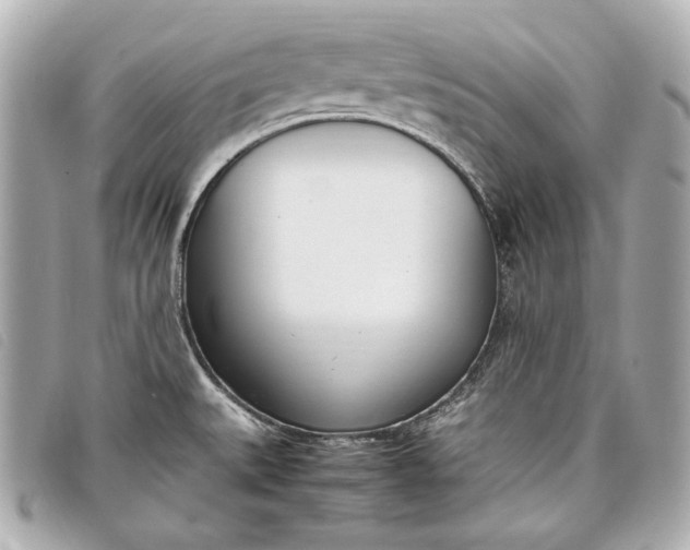 X0000098101527200804181411