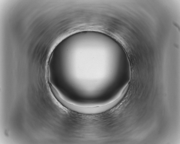 X0000098101528200804181411