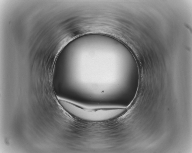 X0000098101529200804181411