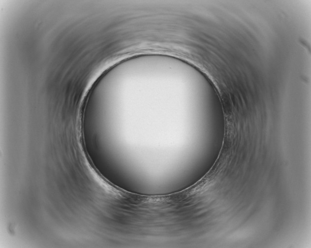 X0000098101531200804181411