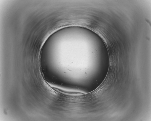X0000098101532200804181411