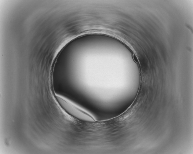 X0000098101533200804181411