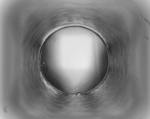 X0000098101534200804181411