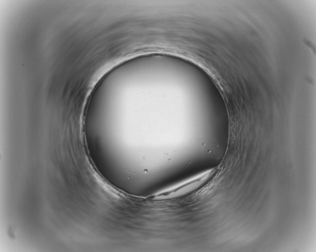 X0000098101535200804181411