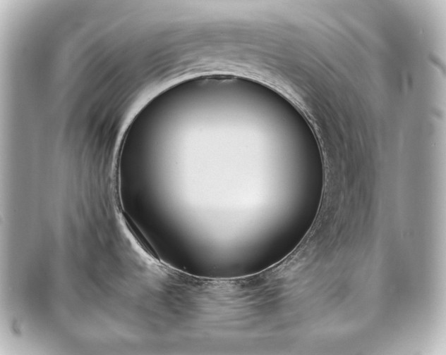 X0000098101536200804181411