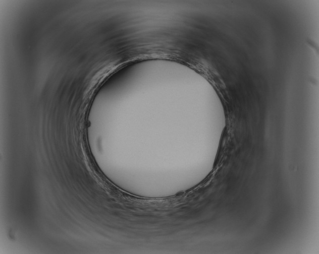 X0000098100001200804251415