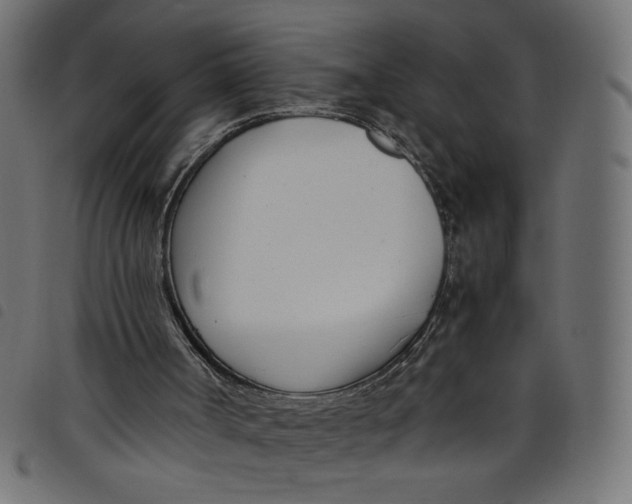 X0000098100002200804251415