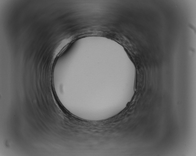 X0000098100003200804251415