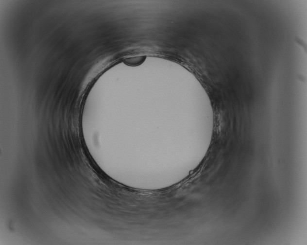 X0000098100004200804251415