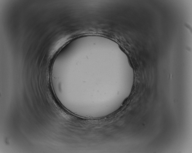 X0000098100005200804251415