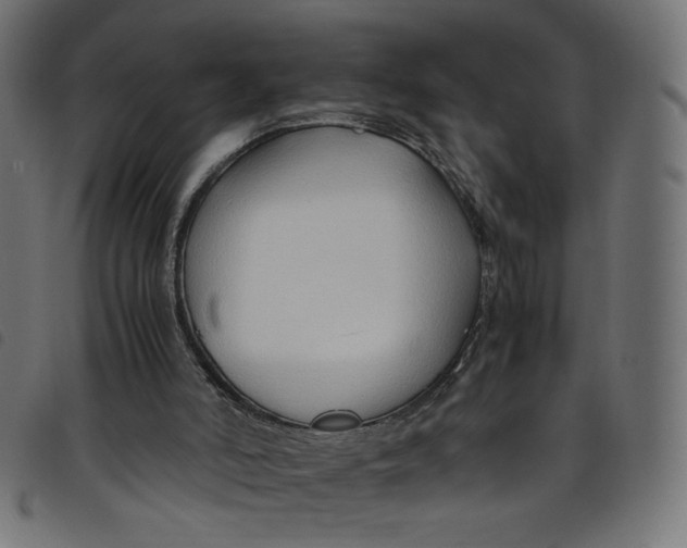 X0000098100006200804251415