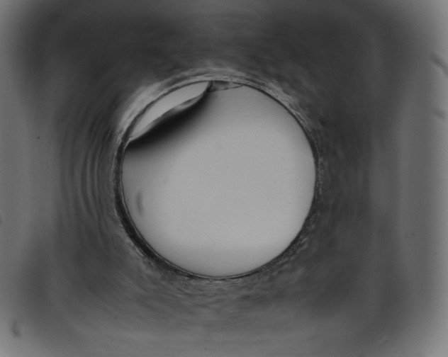 X0000098100007200804251415