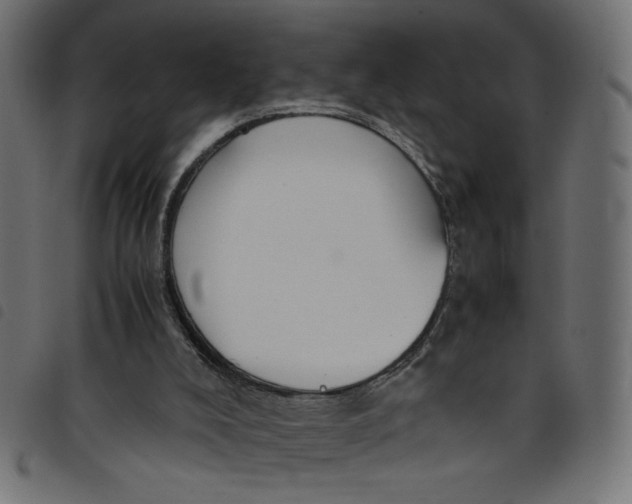 X0000098100008200804251415