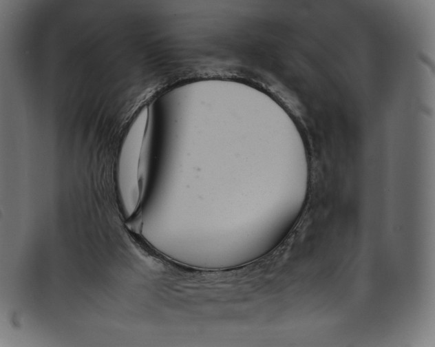 X0000098100009200804251415