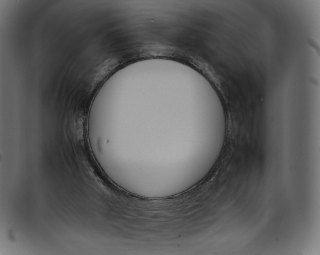 X0000098100010200804251415